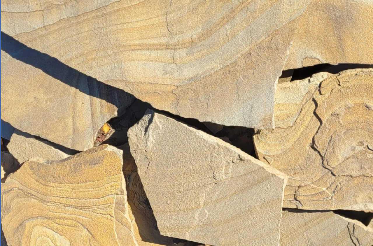 white-Photoroom-Photoroom (1)